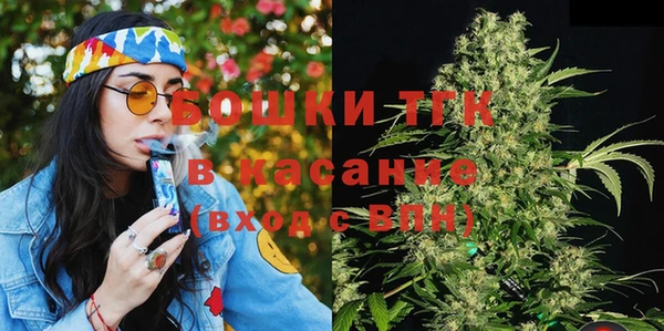 индика Нефтегорск