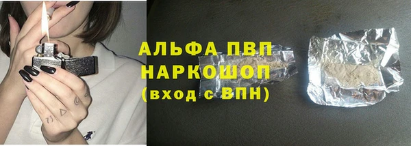 индика Нефтегорск