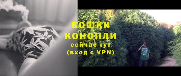 apvp Нефтекумск