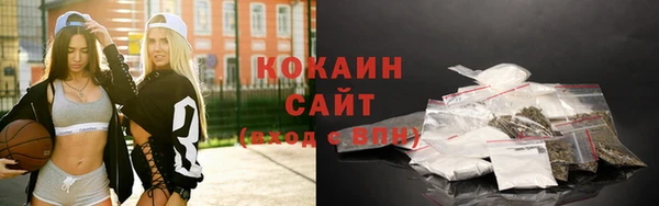 индика Нефтегорск