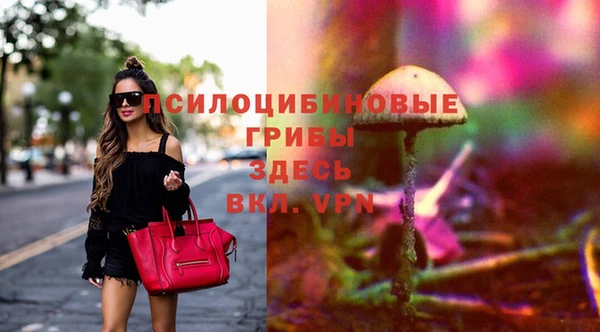 apvp Нефтекумск